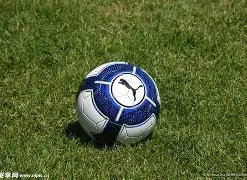 球友会狂欢,千亿豪礼盛,典官方网站,中超买球(中国)官方网站,中超买球网官网入口,中超买球官方网站,中超买球官方在哪买