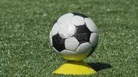 【聚焦特刊】以生态为本，携手共翼——B站影视生态创新拓展之路